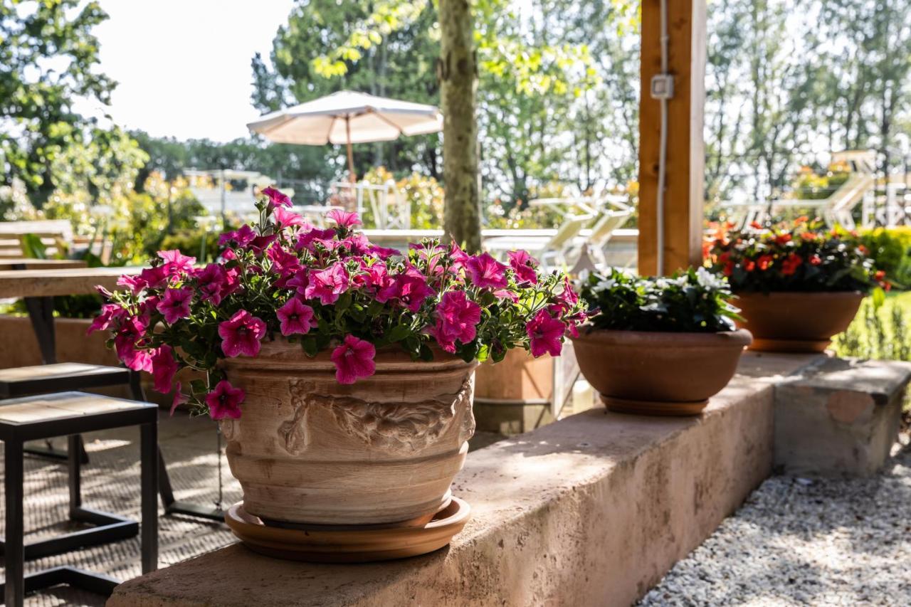 Bed and Breakfast Vecchio Granaio Piza Zewnętrze zdjęcie